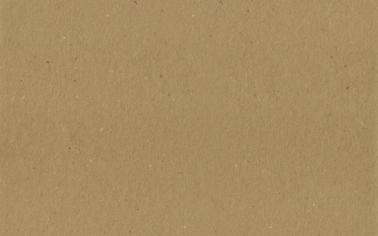 Cardboard